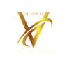 logo nt vision
